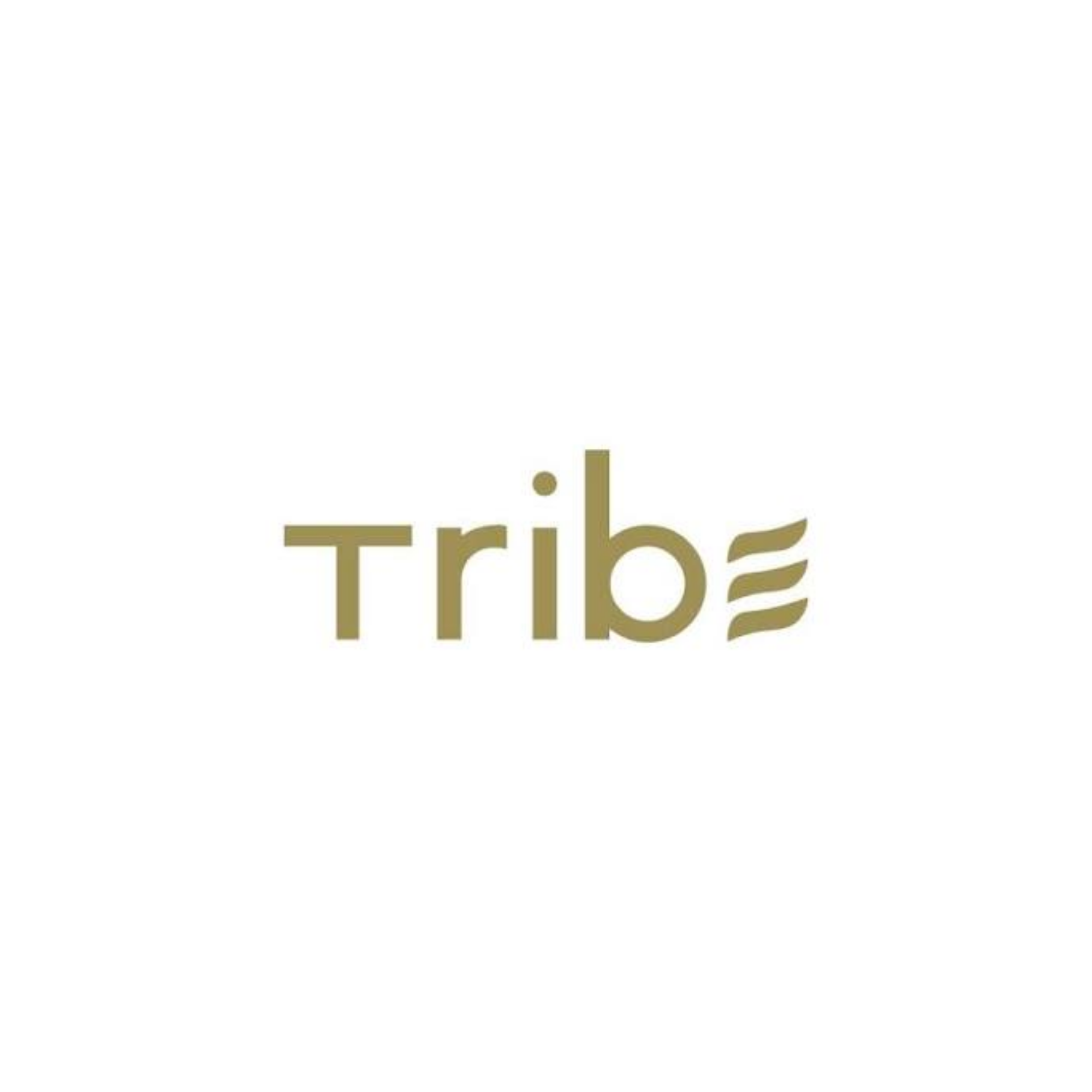 Tribe