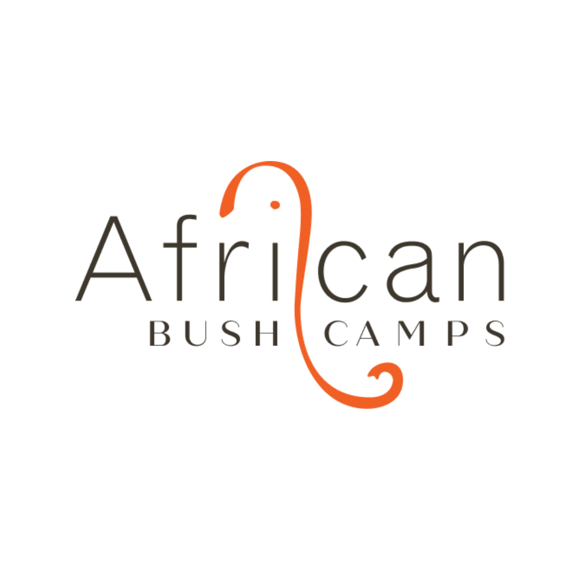 African Bushcamps
